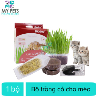 Bộ trồng cỏ cho mèo Bioline cat grass lit 12g thumbnail