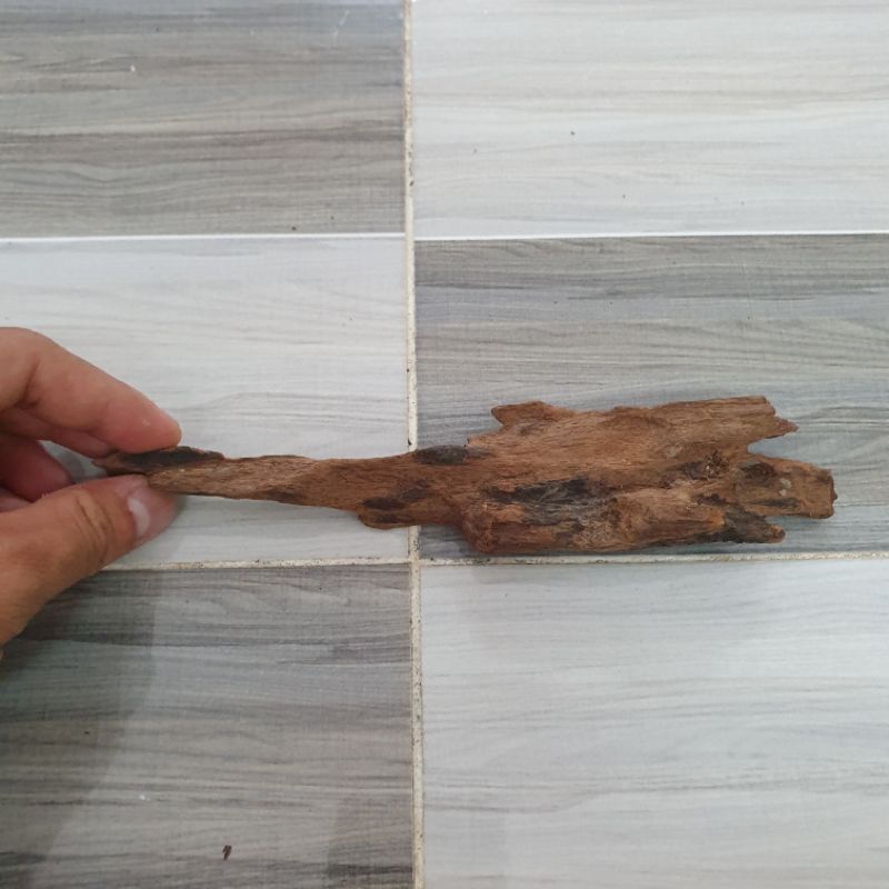 Lũa nhẹ để trang trí hồ thủy sinh