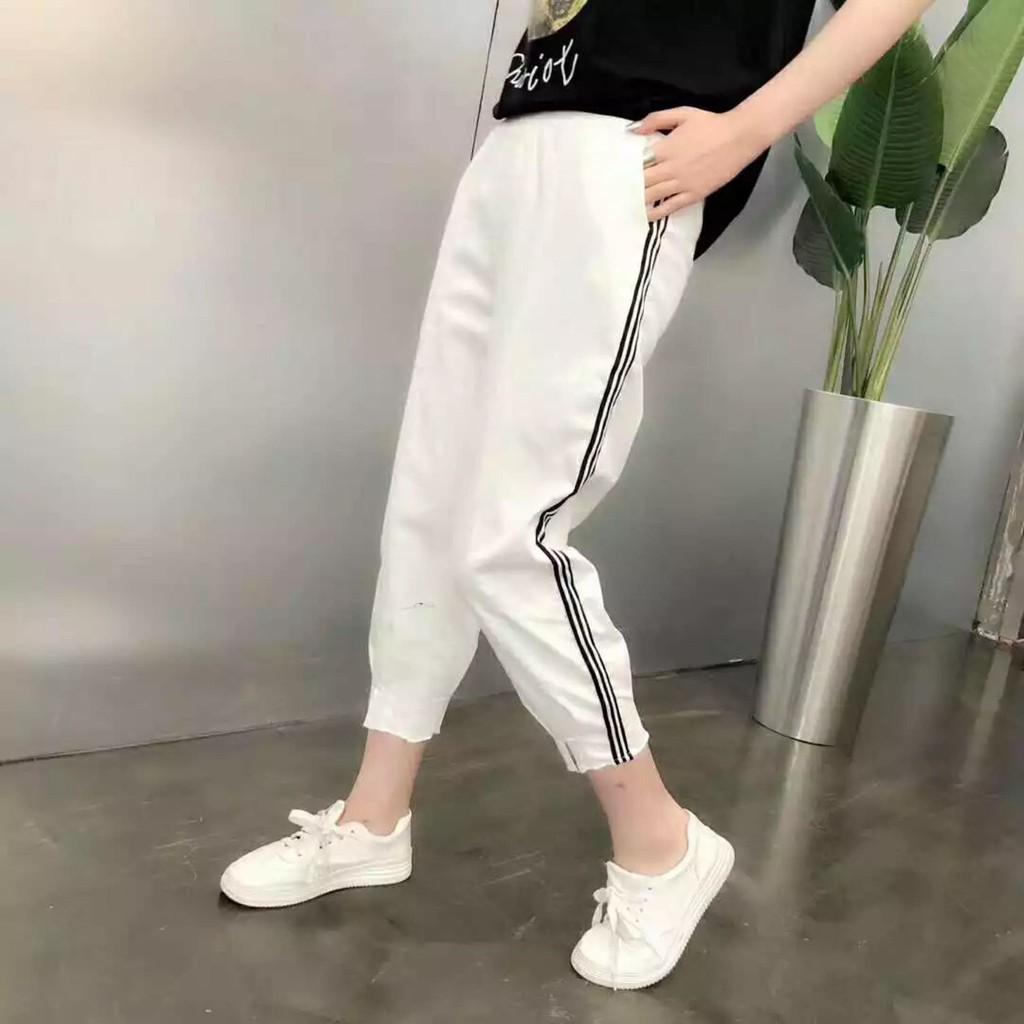 Quần kaki chạy sọc kẻ hari0720