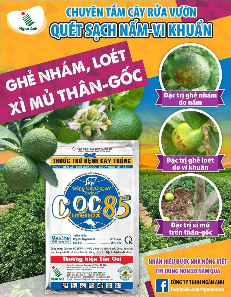COC 85WP – THUỐC DIỆT TRỪ NẤM BỆNH CHO CÂY TRỒNG (GÓI 20G)