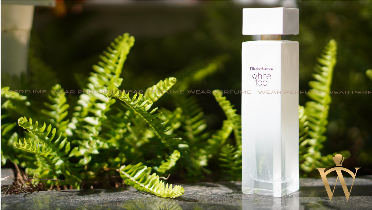 Nước hoa nữ Elizabeth Arden White Tea