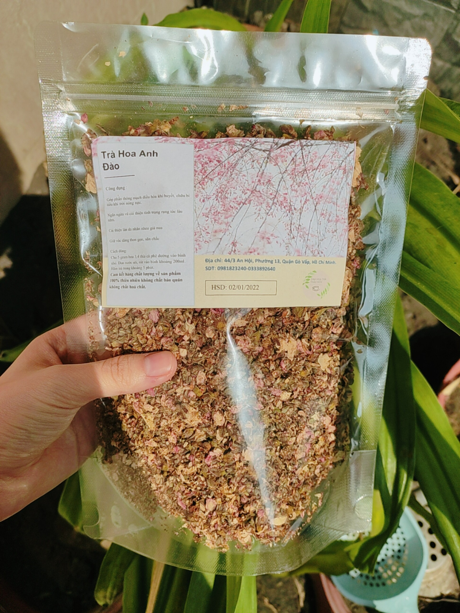 hoa anh đào sấy khô 100 gram túi zip