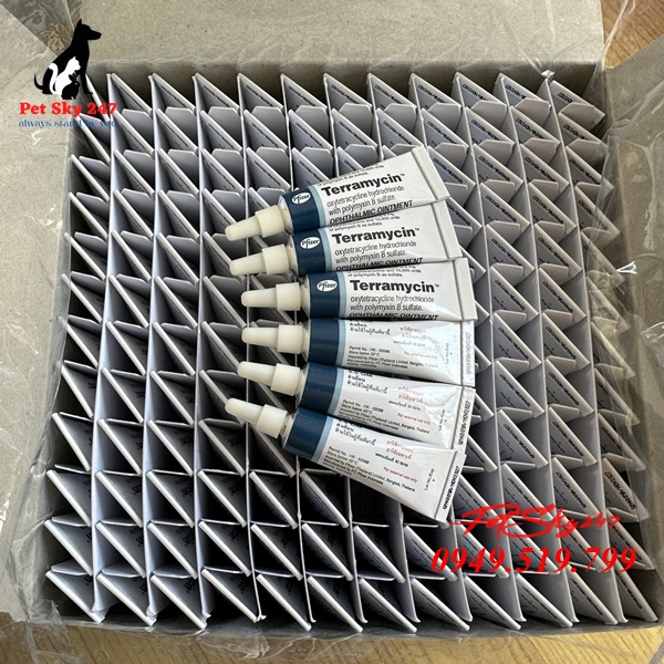 Thuốc Terramycin Trị Nhễm Trùng Mắt Cho Chó Mèo 3,5g