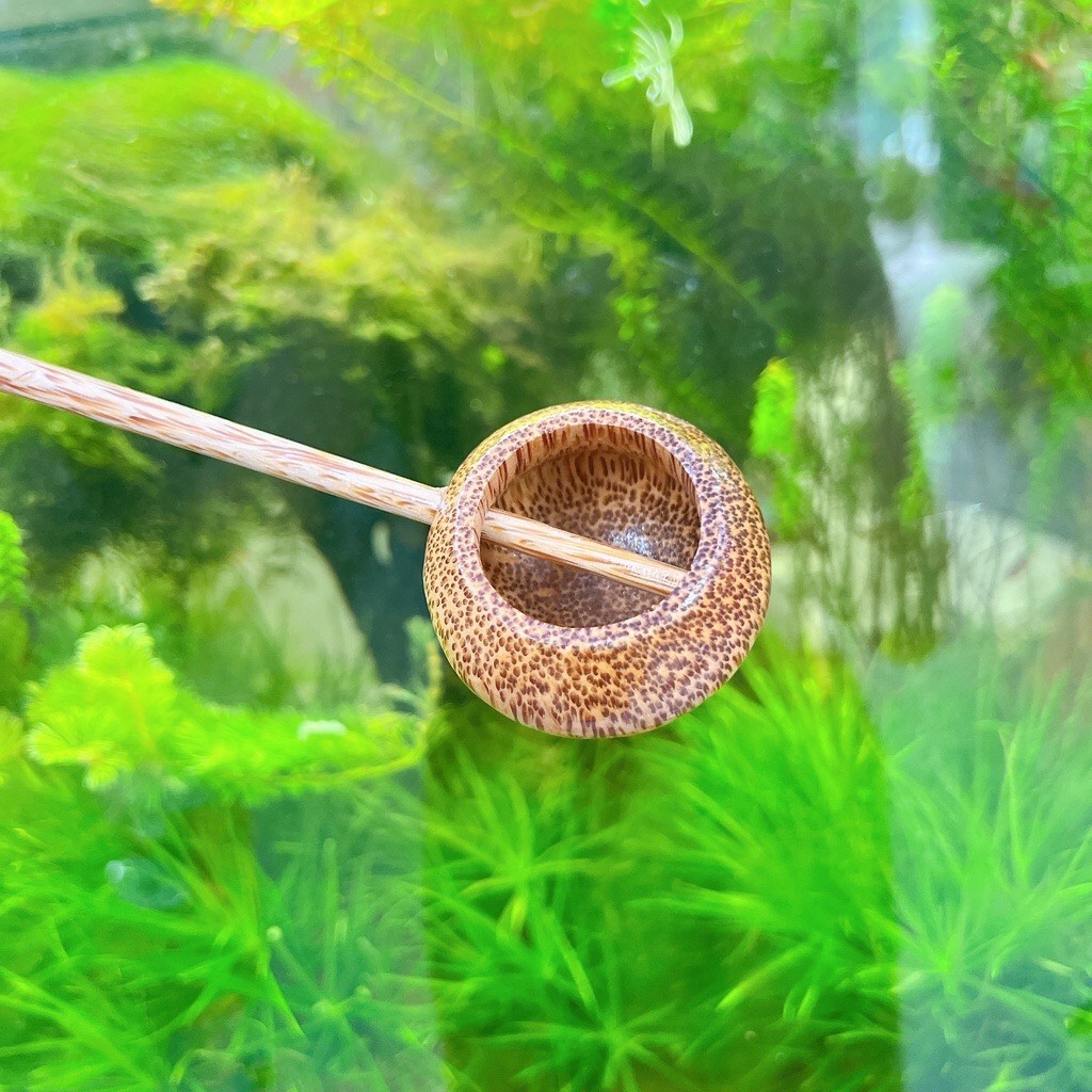 Gáo dừa tròn múc rượu