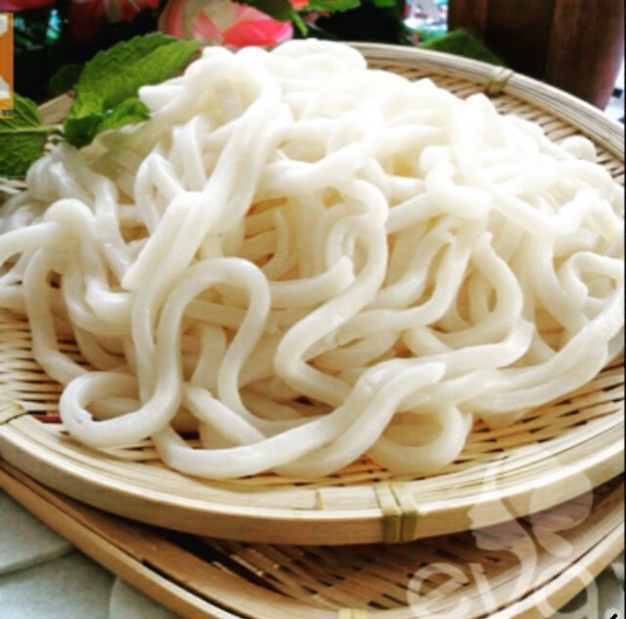 Bịch 1Kg Mỳ Udon Tươi Samlip Hàn Quốc (Gồm 5 Gói 200 Gram)