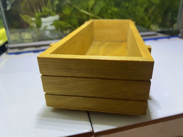 SEN ĐÁ TRỒNG CHẬU GỖ CEFODO