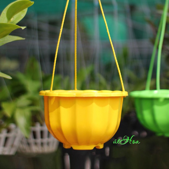 [Có sẵn] [Ảnh thật]  Chậu treo bí lớn đủ màu (kèm quai treo)