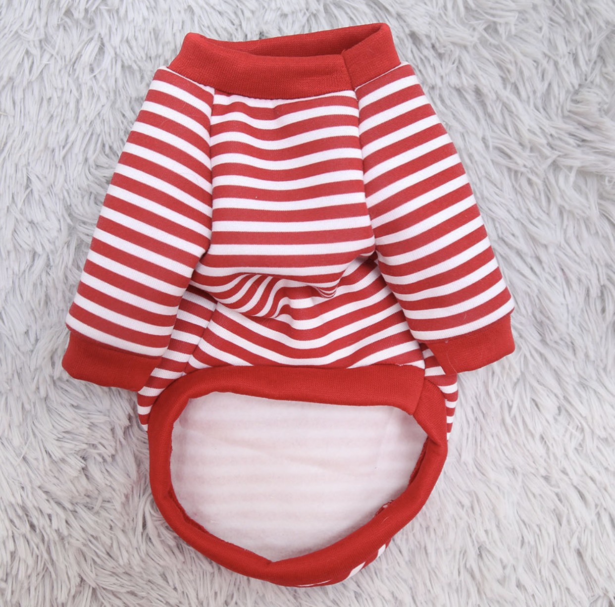 Áo nỉ gấu teddy cho thú cưng