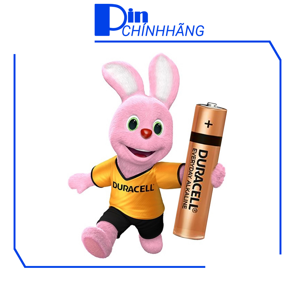 Vỉ 2 viên pin đũa AAA Duracell Alkaline