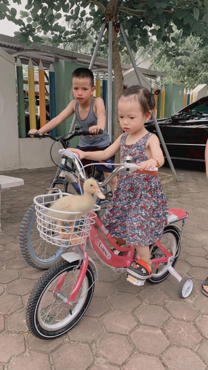 Xe Đạp Trẻ Em Xaming 14-16-18-20 Inch