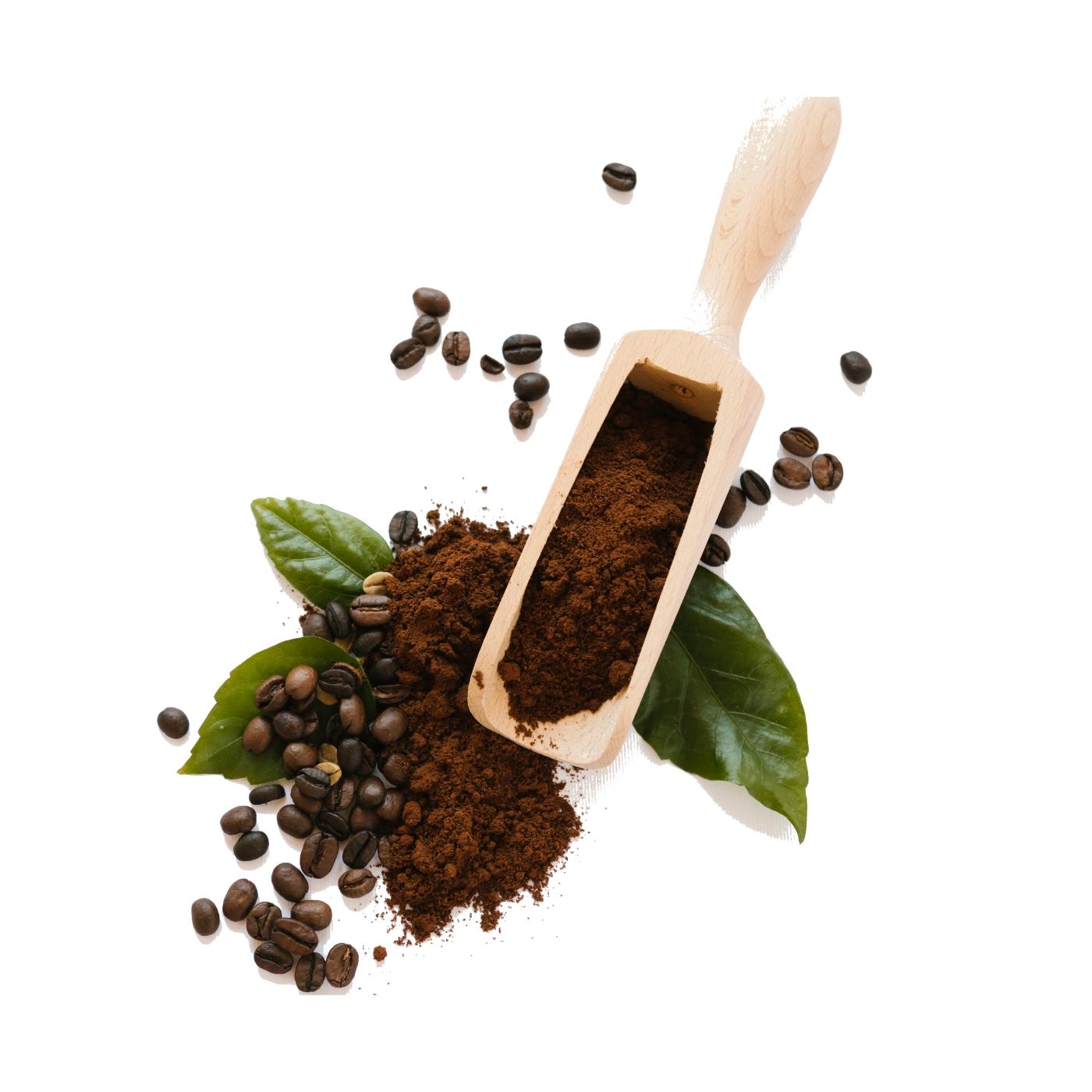 [HCM]ARABICA 30%& ROBUSTA 70%_CÀ PHÊ BỘT RANG ĐẬM OC ORGANIC COFFEE 500G