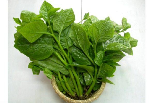 RAU MỒNG TƠI CAO SẢN (gói 20g)