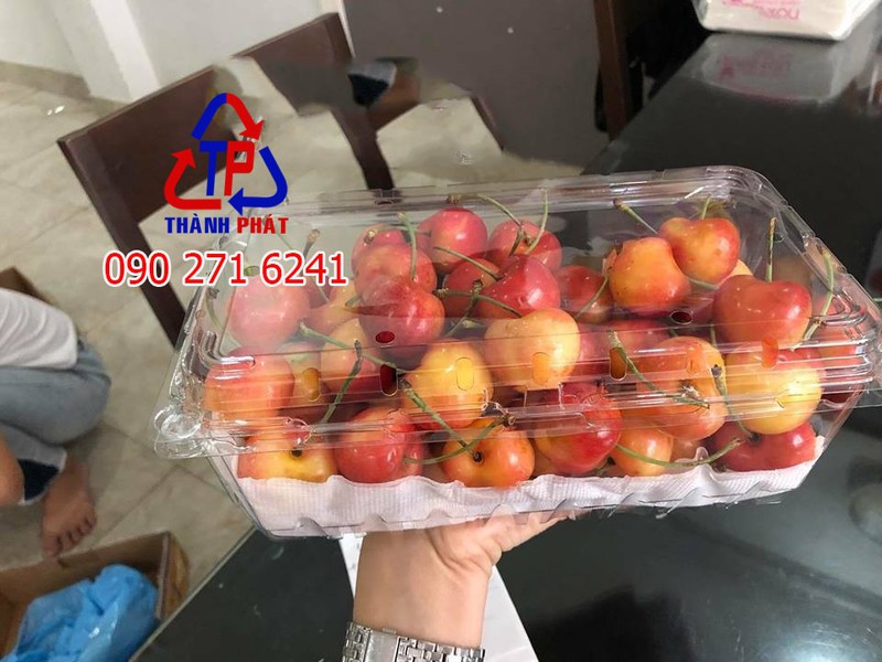 [HCM] 50 Hộp P1000A nhựa đựng trái cây 1kg - Hộp đựng nho 1 kg - hộp P1000A