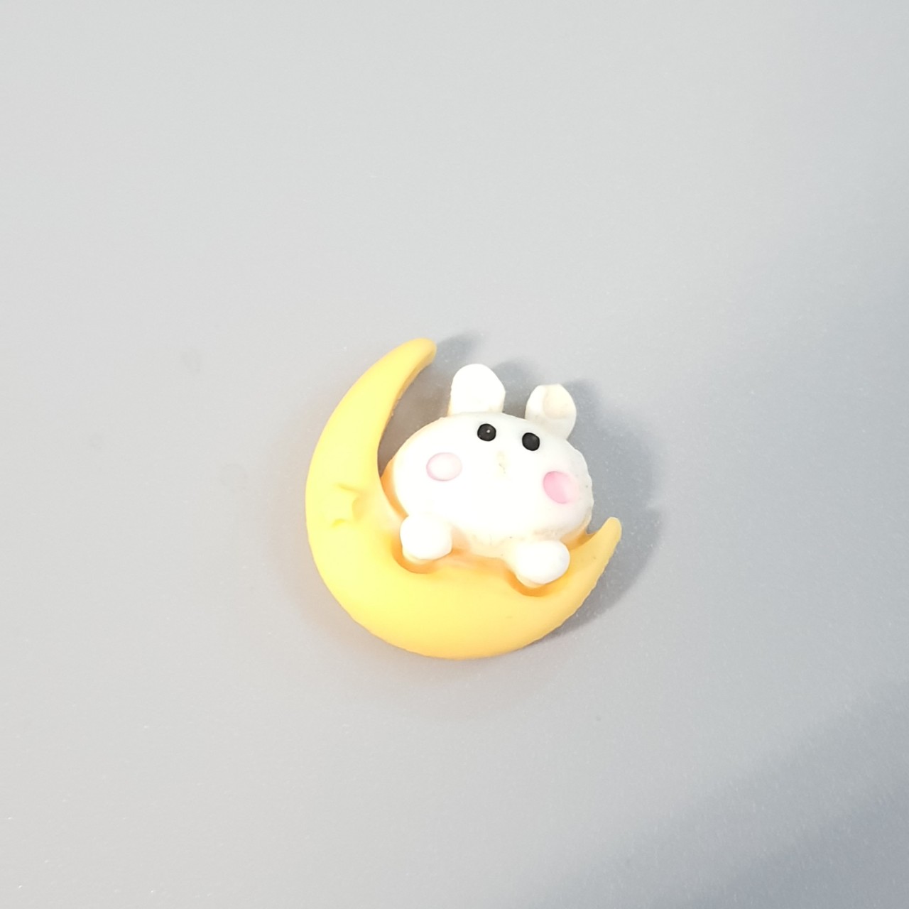 STICKER/CHARM/JIBBITZ - Trang trí dép sục