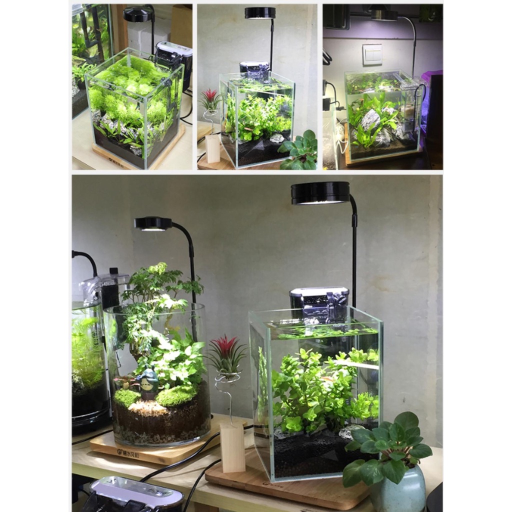 Đèn đế gỗ, đèn led rọi hồ cá, đèn đế gỗ cho bình terrarium