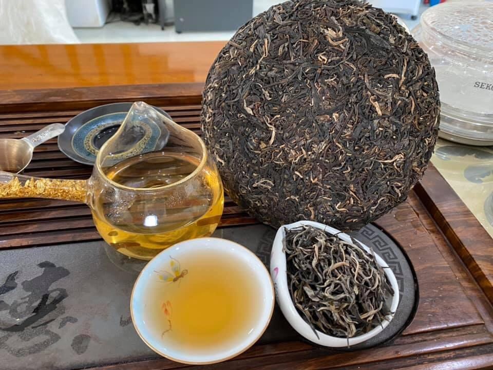 Bánh Phổ Nhĩ Sống 2016 - Thái An Trà