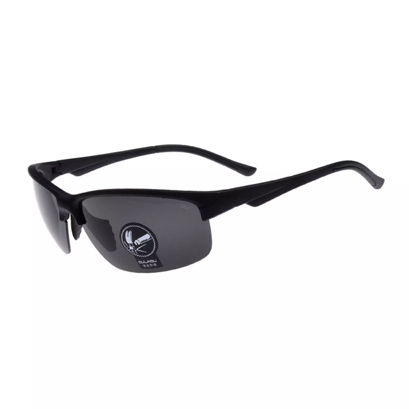 Polarized night vision goggles, day and night use