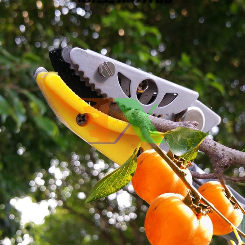 Tools fruit picking hq-3m, pickets picking fabric, pickets picking fruit label, Bird fruit picking, cutting fruit on high with clip holder (3m), together with the saw blade, pruning shears branch on high