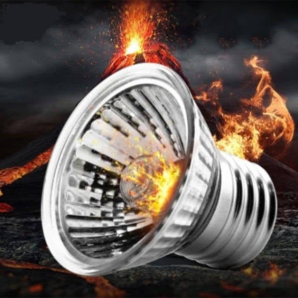 [hot sale] Đèn sưởi UVA + UVB 3.0 cho bò sát Nomoy pet