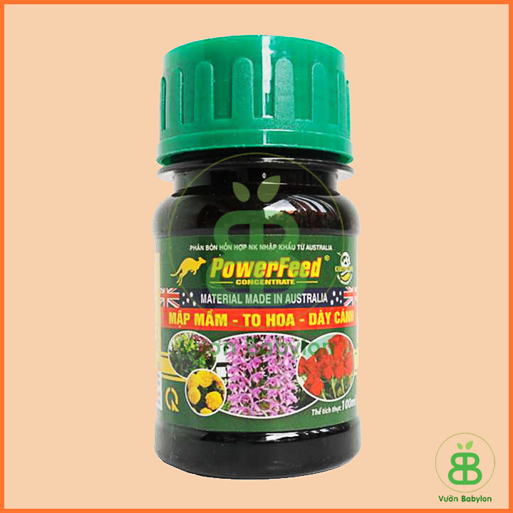 Powerfeed Mập Mầm, To Hoa, Hày Cánh 100ml