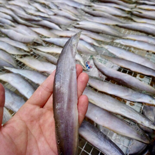 KHÔ CÁ CHẠCH thơm ngon, lạ vị ai ăn cũng mê