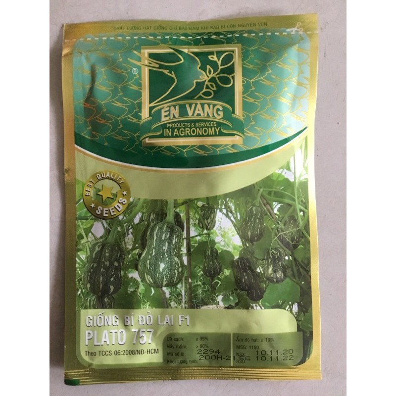 Hạt giống bí đỏ lai F1 plato 757 Én vàng