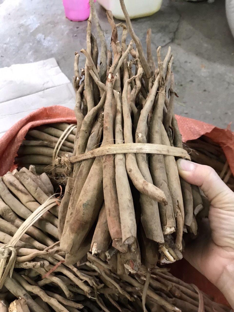 Sâm Cau Đỏ 1Kg