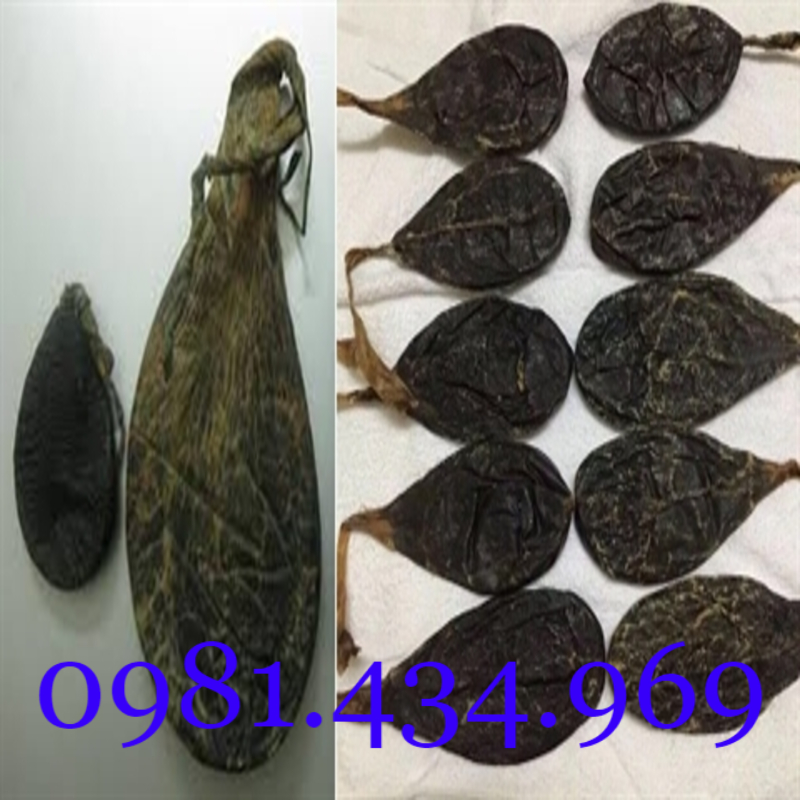 Xả Hàng - An xoa khô 683lz