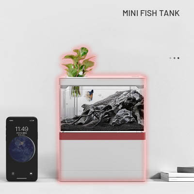 Bể cá thủy sinh mini trang trí bàn làm việc