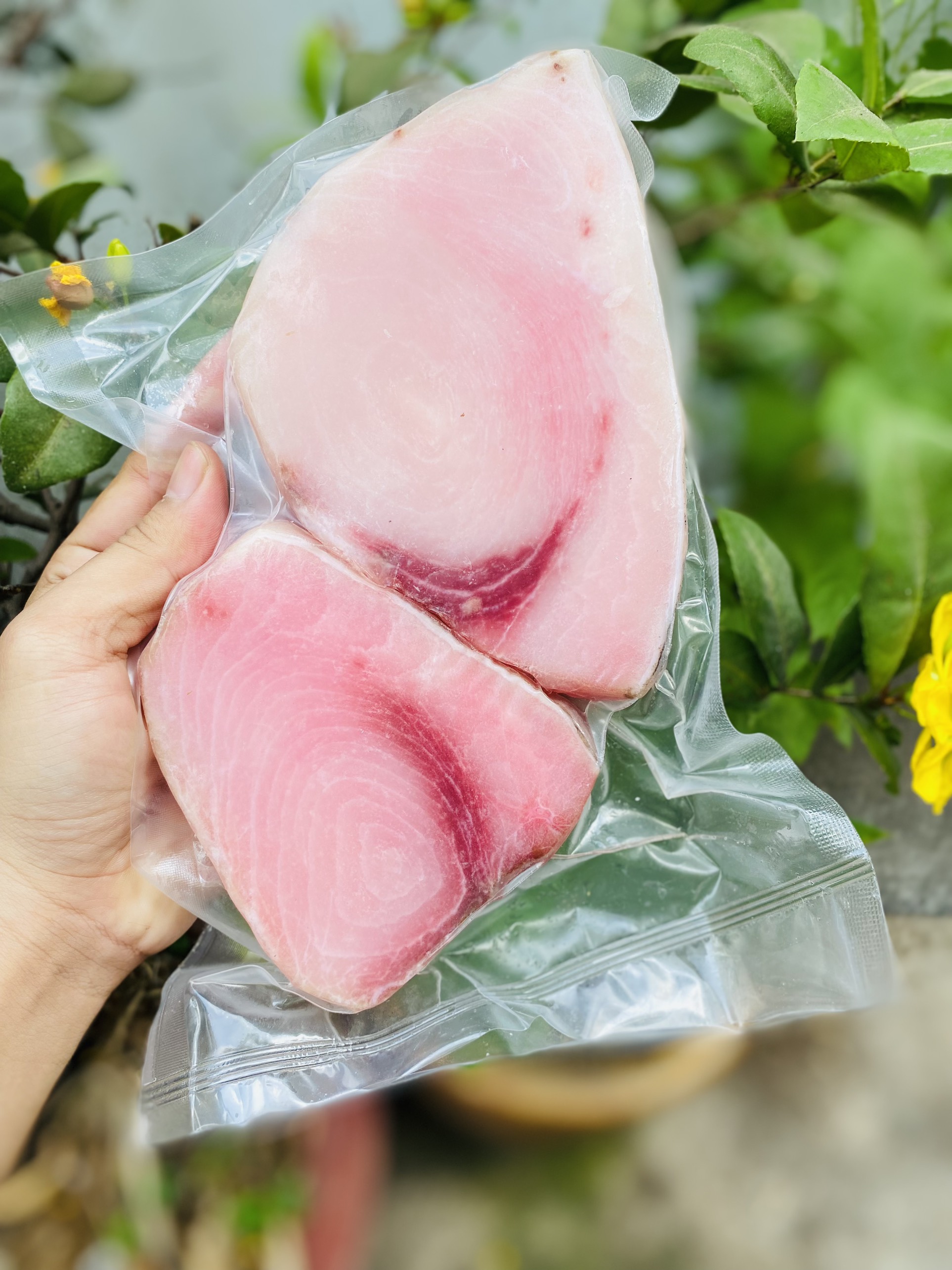 [GIAO NHANH 2H HCM] Cá Cờ Kiếm Phi-le