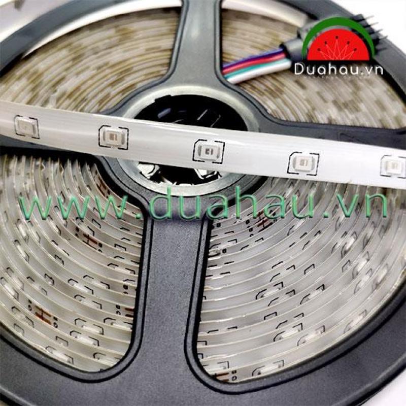 Đèn Led dây - Led cuộn 3528