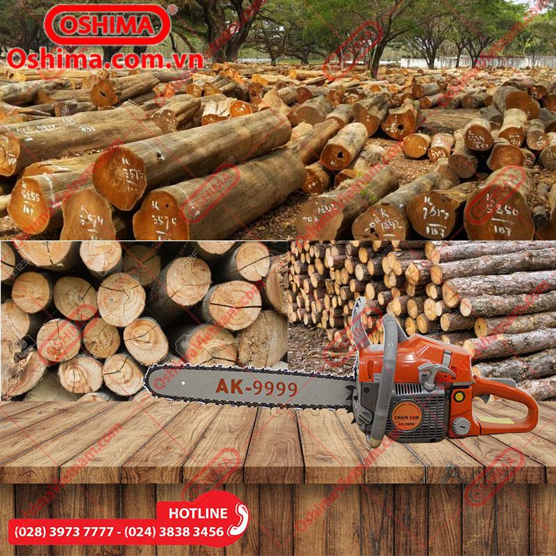 Máy cưa xích OSHIMA AK-9999