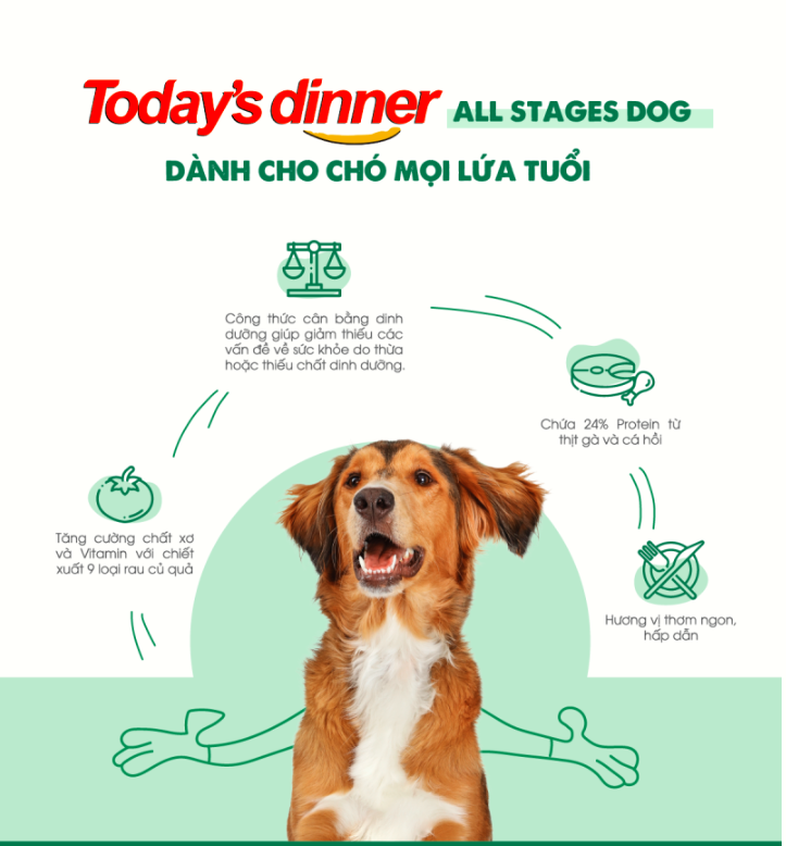 (5kg) Today's Dinner Dog - Thức ăn hạt  cho chó lớn/chó nhỏ/chó mọi lứa tuổi cân bằng dinh dưỡng cho chó nhập khẩu Hàn Quốc