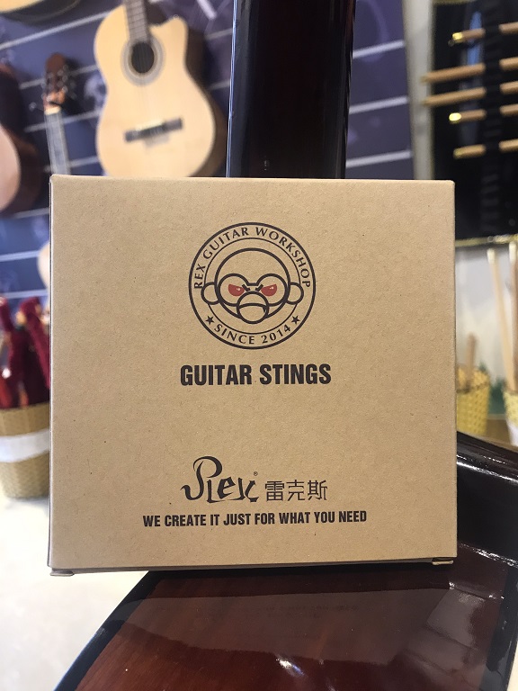 Dây Đàn Guitar Acoustic Rex R406 chính hãng