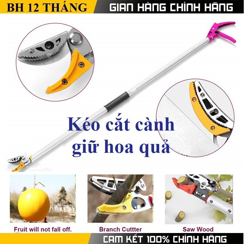 Kéo cắt cành trên cao 4 mét