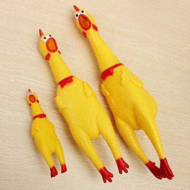 [HCM]Gà nhựa cho thú cưng gà S