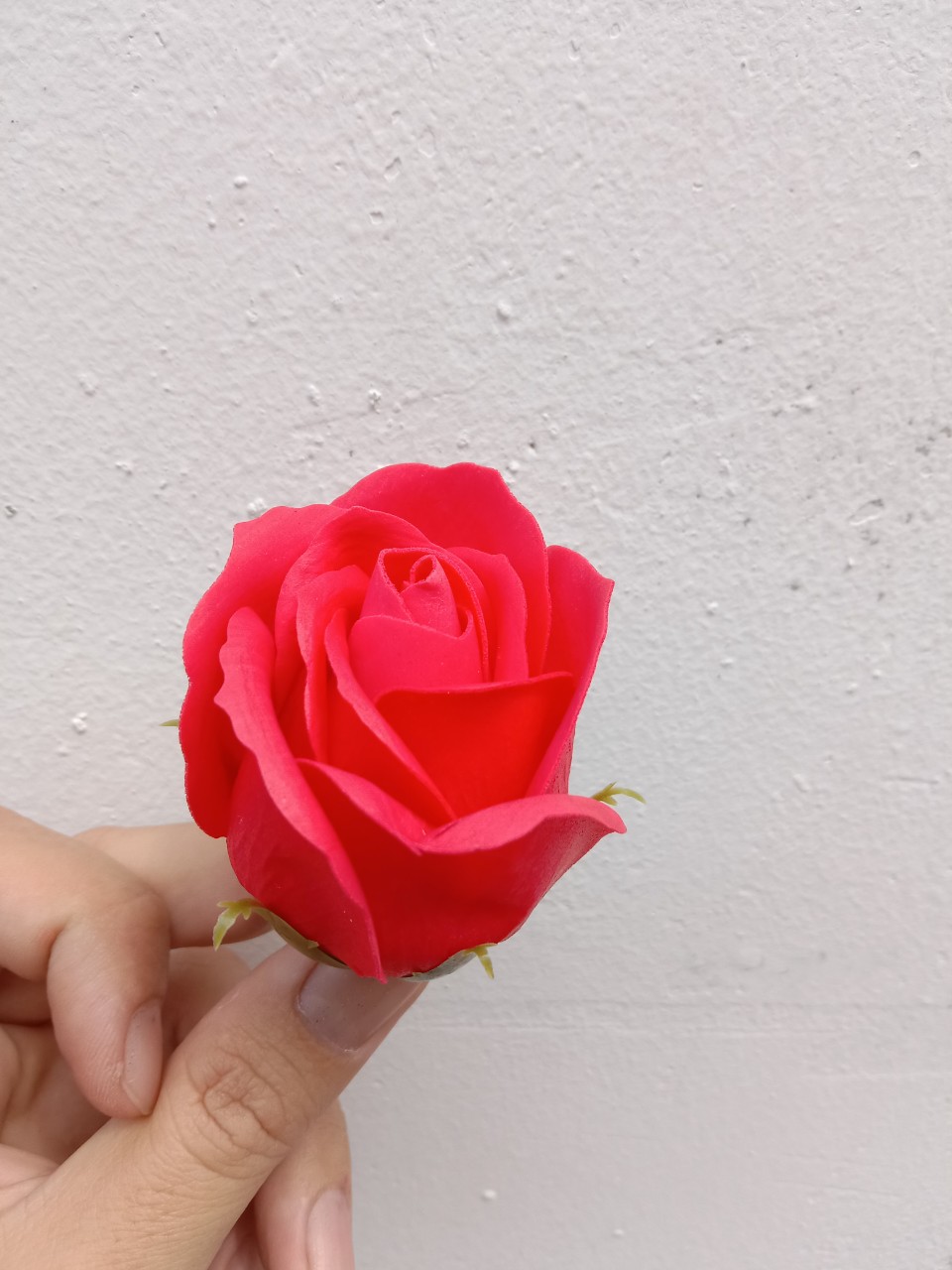 đầu bông hoa hồng sáp 3 lớp cánh
