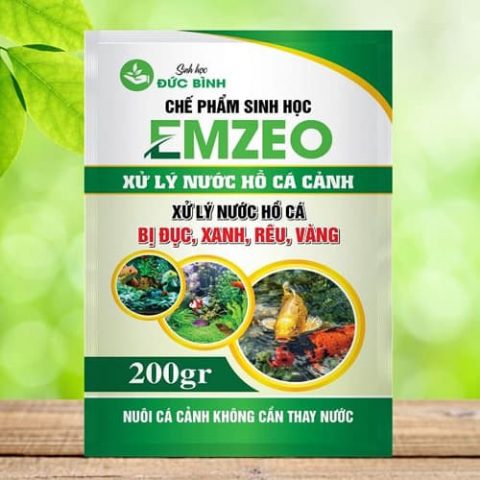 Emzeo cá cảnh – Men xử lý nước hồ cá cảnh bị đục xanh rêu vàng