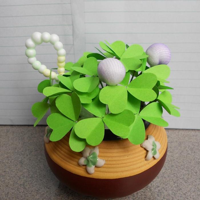 Three Leaf Clover Seeds