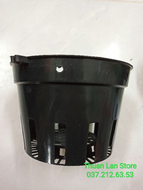 Set 10c Chậu Nhựa Đen Trồng Lan F16