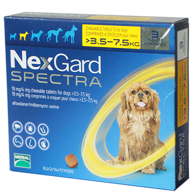 NEXGARD SPECTRA® size S cho chó từ 3.6-7.5 kg (1g/viên x 3 viên/hộp)