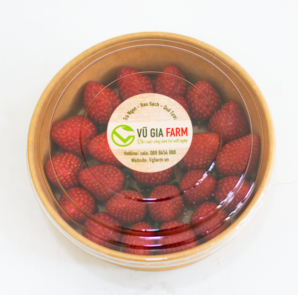 VG FARM Dâu Nhật Sky Đà Lạt Size 36 (200G/500G/1KG)