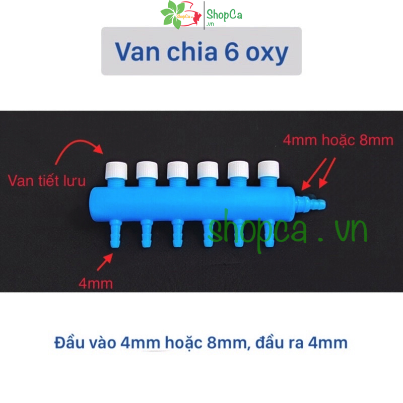 Chia oxy có van điều chỉnh