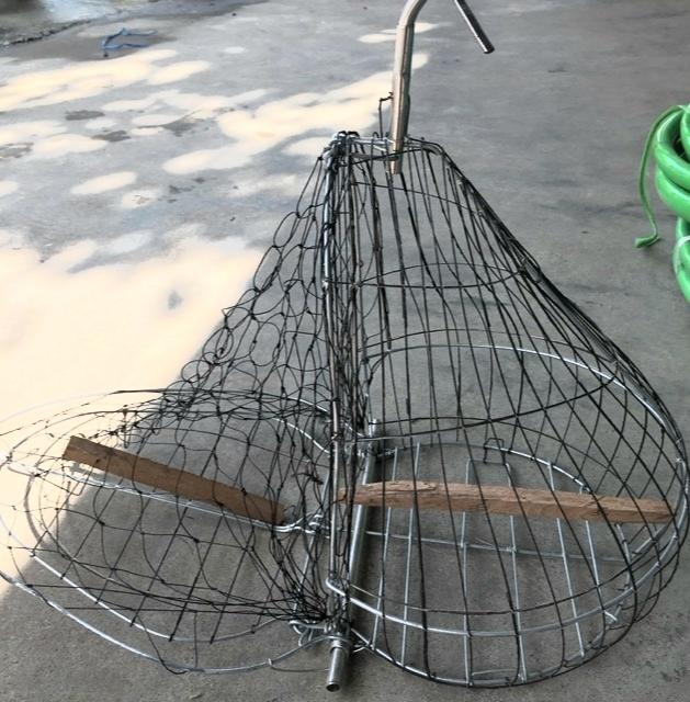 Lồng bẫy chim cu gáy, bìm bịp