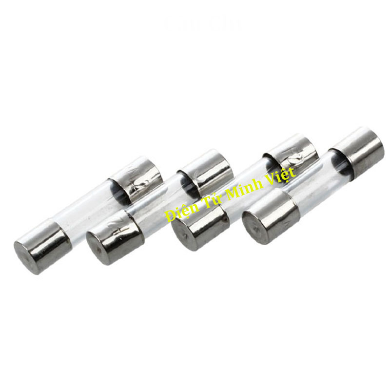 Bộ 10 Cầu Chì Ống 6x30mm 250V