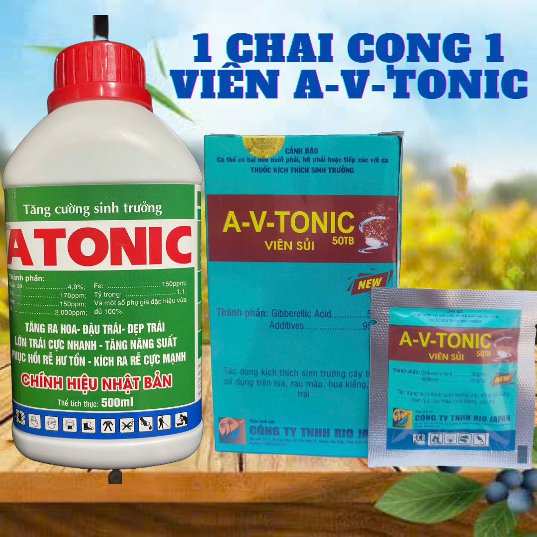 Atonic 500ml Powerful Root Stimulator Buy 1 Get 1 Free A-V-Tonic Effort Pills
