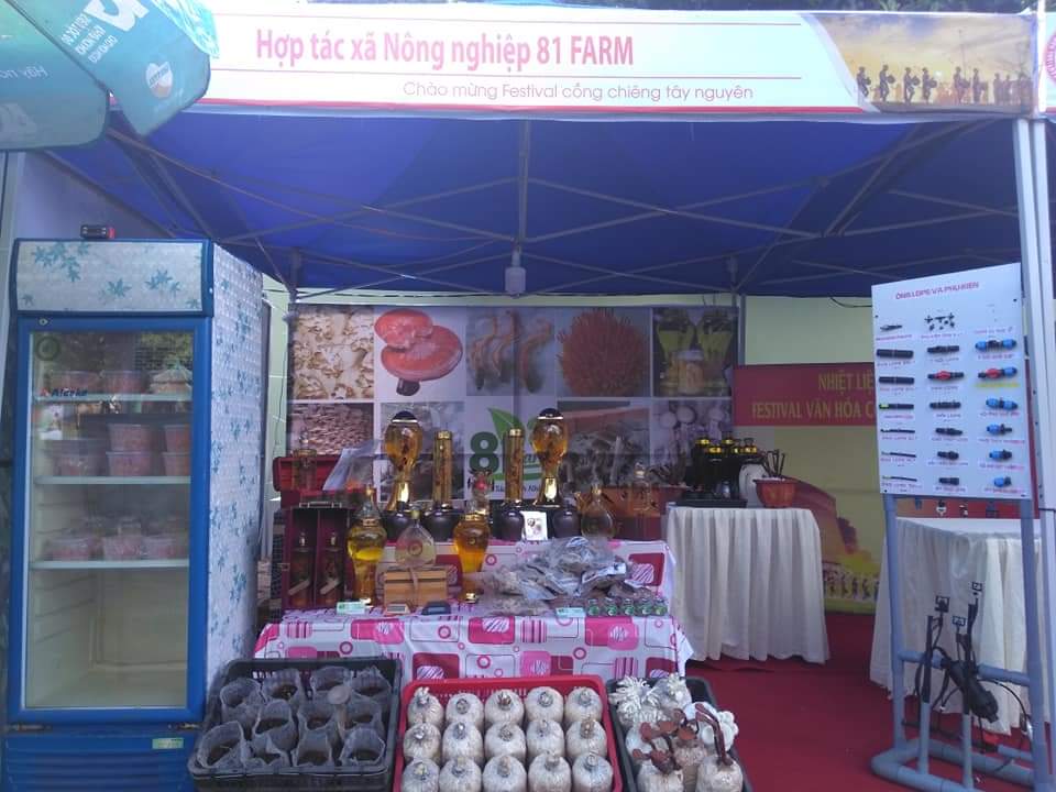 COMBO 5 PHÔI NẤM BÀO NGƯ