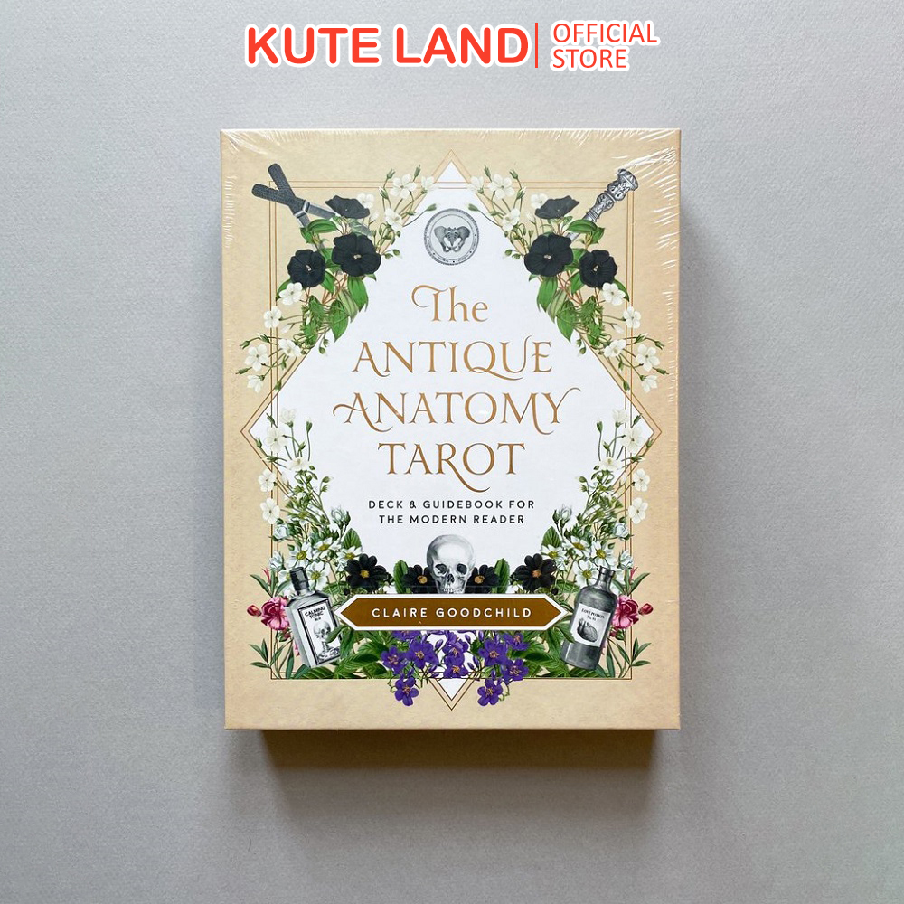 Bộ Bài Tarot The Antique Anatomy 78 Lá Bài Tặng File Tiếng Anh Và Đá Thanh Tẩy