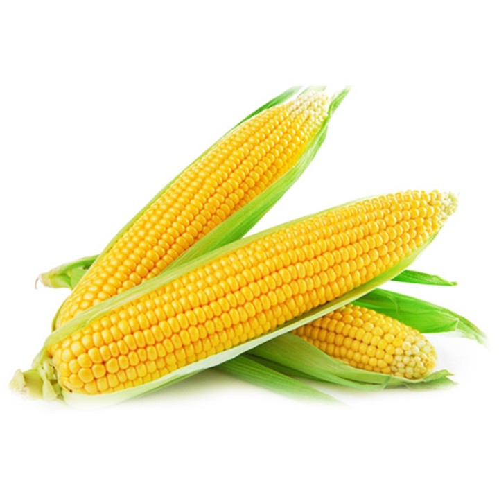 Hạt giống Bắp Mỹ / Bắp Ngọt gói 5gr