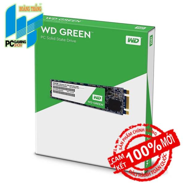 Ổ cứng SSD WD 120GB WDS120G2G0B (M2-2280)